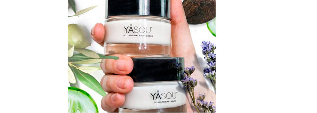Why Natural Vegan Face Creams Are a Must-Try Blog Post Photo