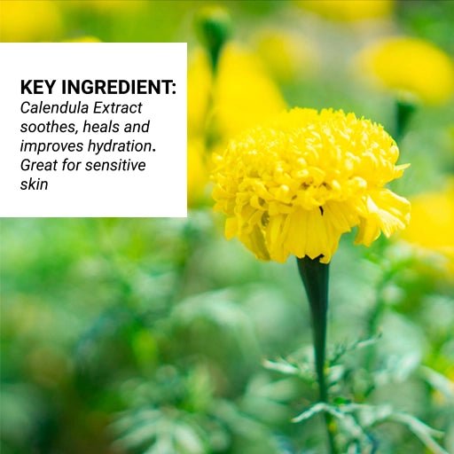 Photo of key ingredient calendula in our hydrating body creams with caption on the skin benefits