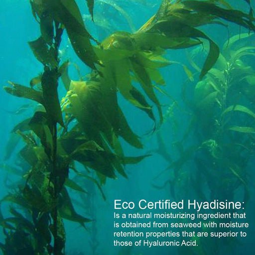 Ingredient: Hyadisine underwater view of this eco certified  seaweed called  Hyadisine.