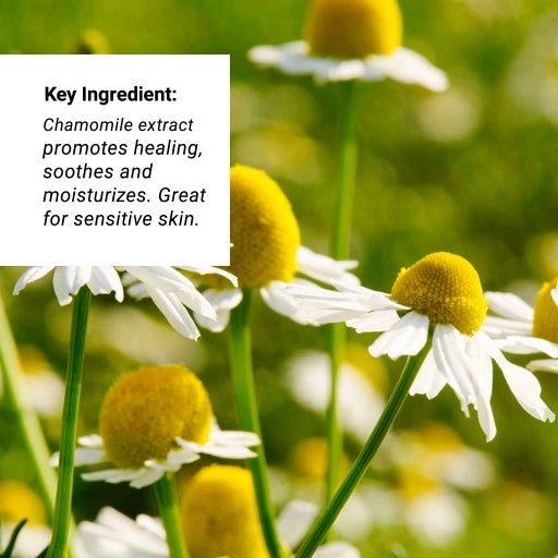 Key Ingredient: Chamomile Extract - showcasing the flowers of the Chamomile.