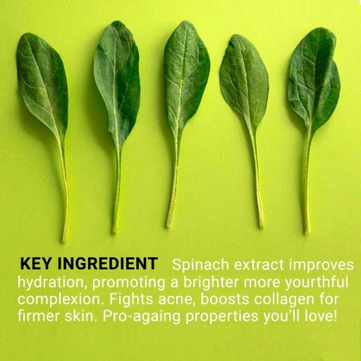 Ingredient: Spinach Extract photo show 
spinach leaves in a row on a lime green background.