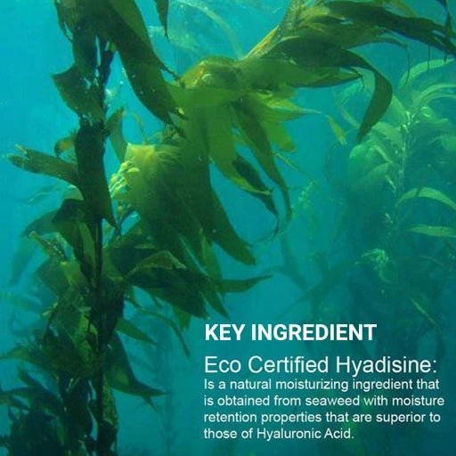 Seaweed underwater with text about Eco Certified Hyadisine