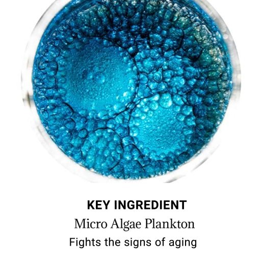 Blue microalgae plankton in a petri dish with text about its anti-aging properties.