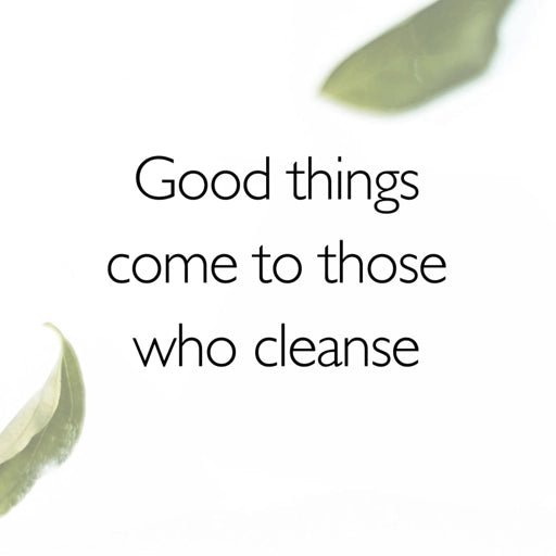 Motivational quote 'Good things come to those who cleanse' with green leaves on a white background